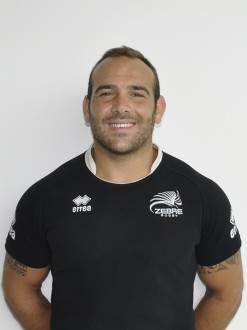 Tommaso D'Apice - Zebre