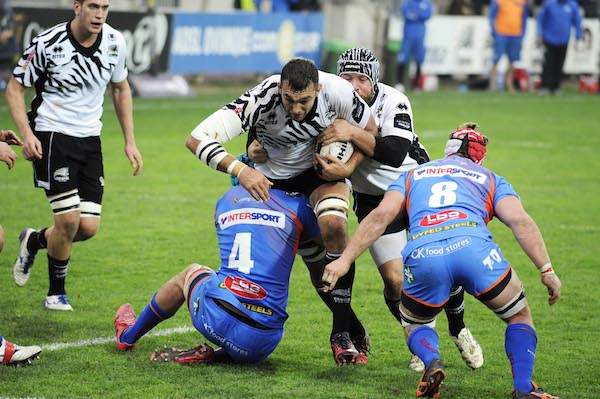 Geldenhuys_Zebre_Scarlets_1617