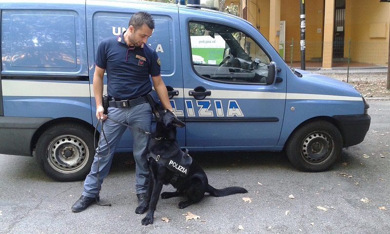 Polizia cane antidroga Jago