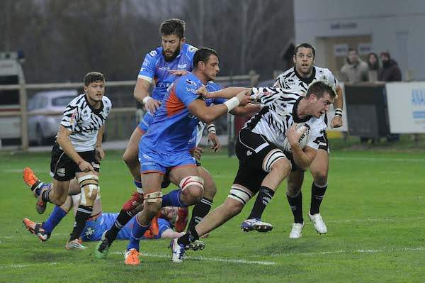 Ruzza_Zebre_Scarlets_1617