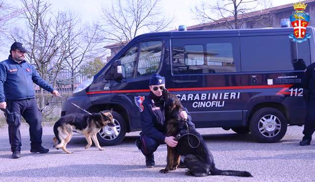 carabinieri-cani-antidroga