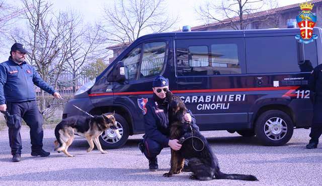 carabinieri-cani-antidroga