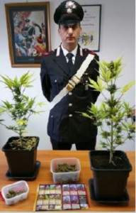 carabinieri marijuana