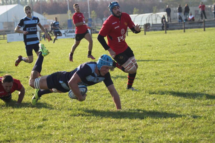 Amatori Parma Rugby