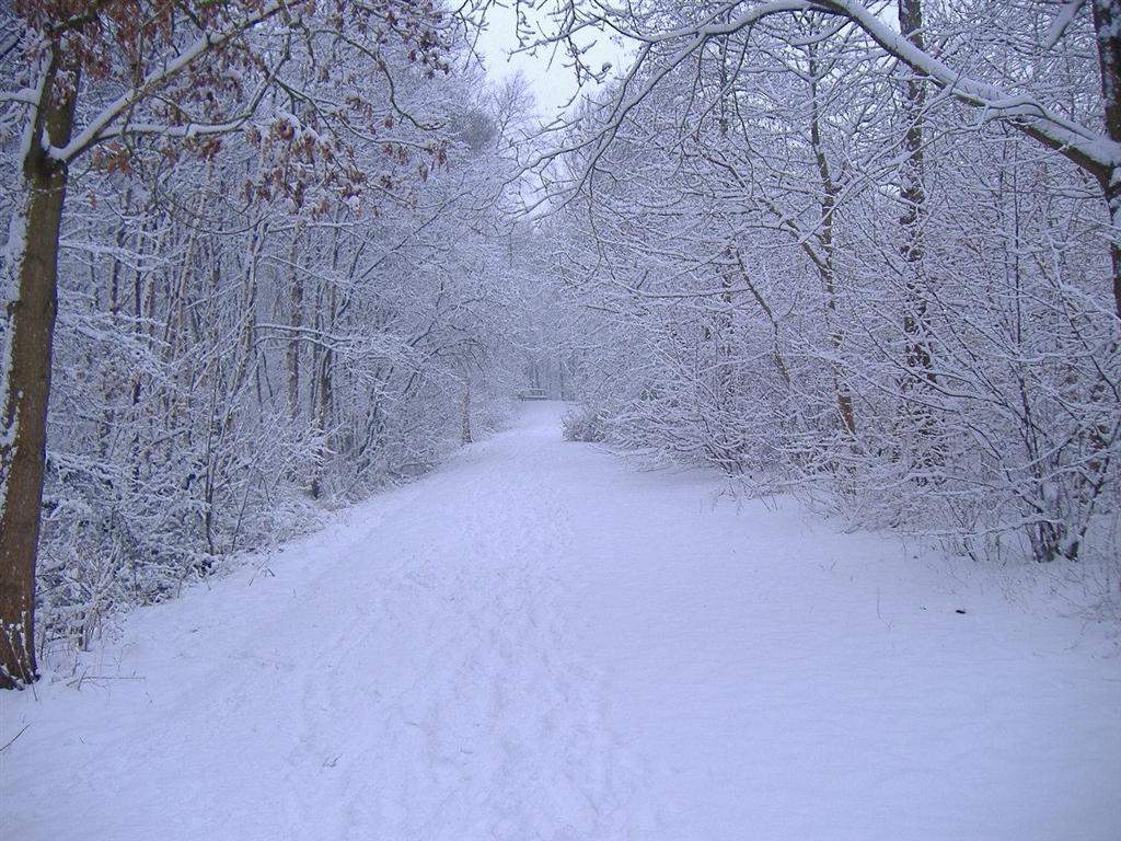 neve-in-arrivo